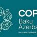 COP 29